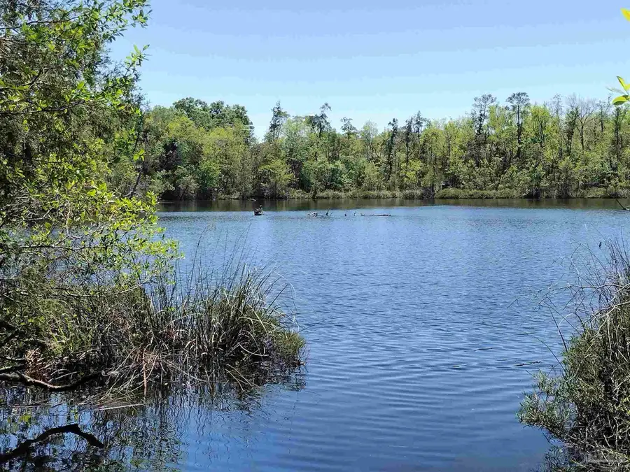 4611 Gunter Rd, Milton, FL 32570 - Image #2