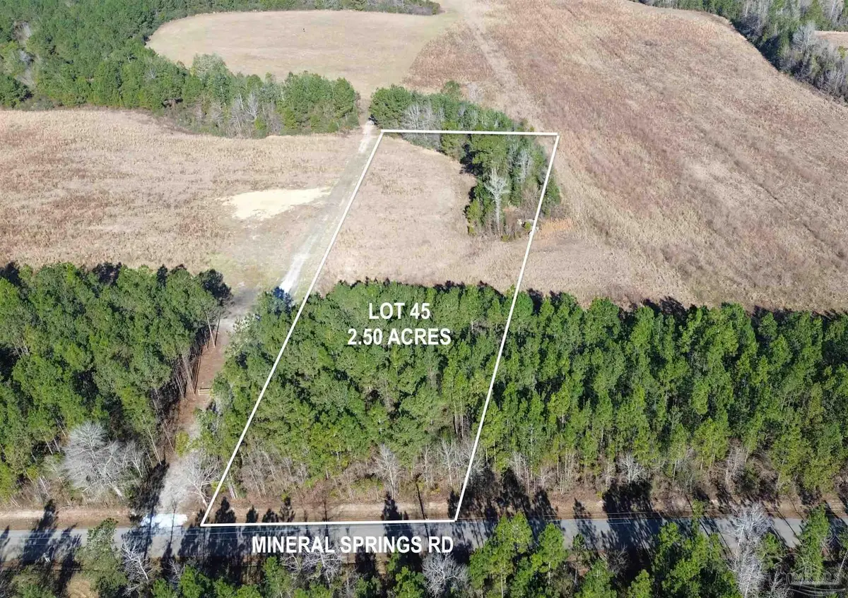 Lot 45 Mineral Springs Rd, Jay, FL 32565 - #1