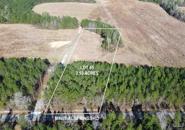 Lot 45 Mineral Springs Rd, Jay, FL 32565
