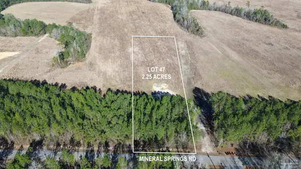 Lot 47 Mineral Springs Rd, Jay, FL 32565