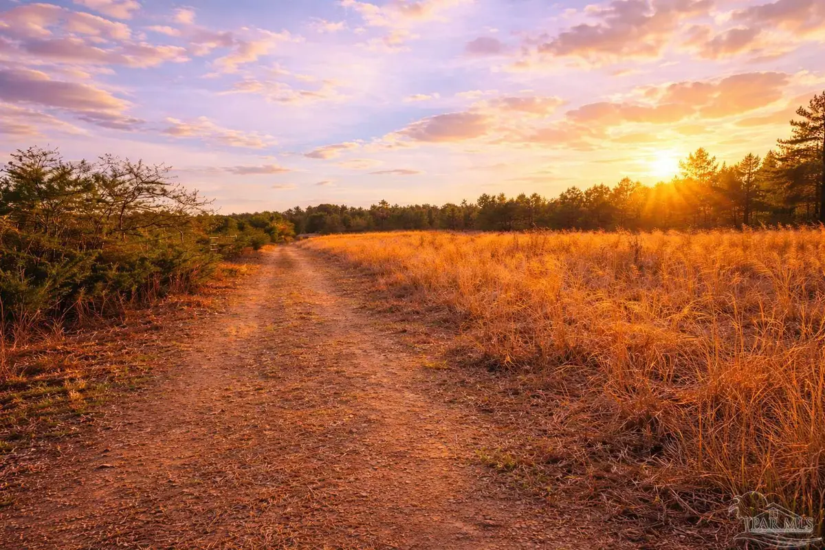 Lot 41 Mineral Springs Rd, Jay, FL 32565 - #1