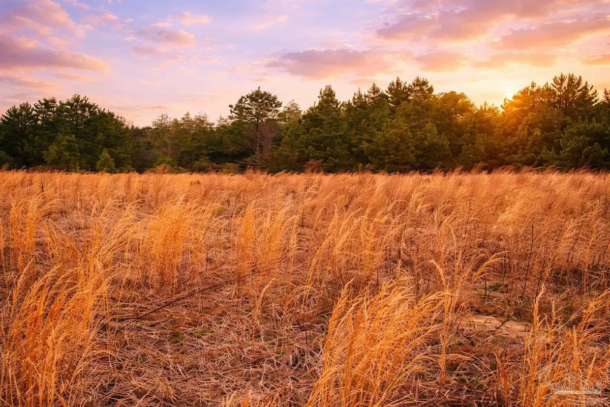 Lot 42 Mineral Springs Rd, Jay, FL 32565 - #1