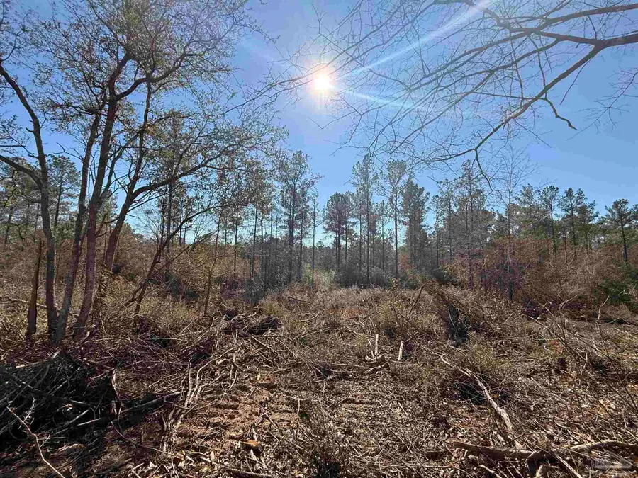 Lot 2 Creek Bluff Dr, Pace, FL 32571 - #2
