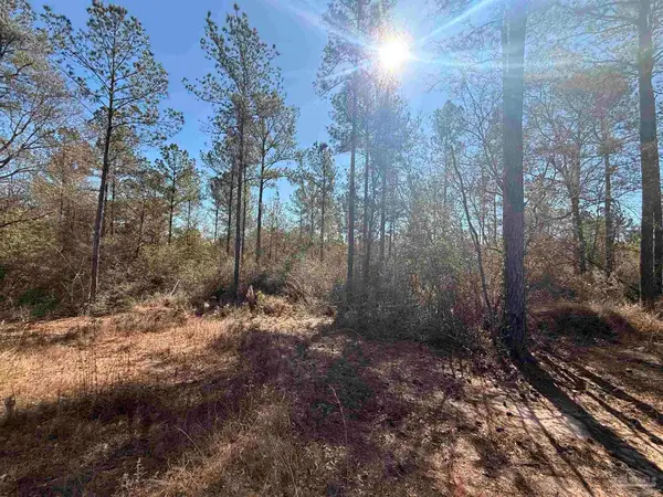 Lot 3 Creek Bluff Dr, Pace, FL 32571