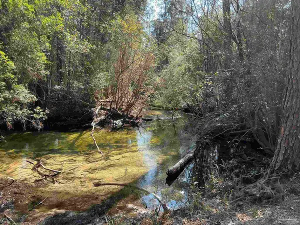 Lot 10 Brook Crossing St, Pace, FL 32571