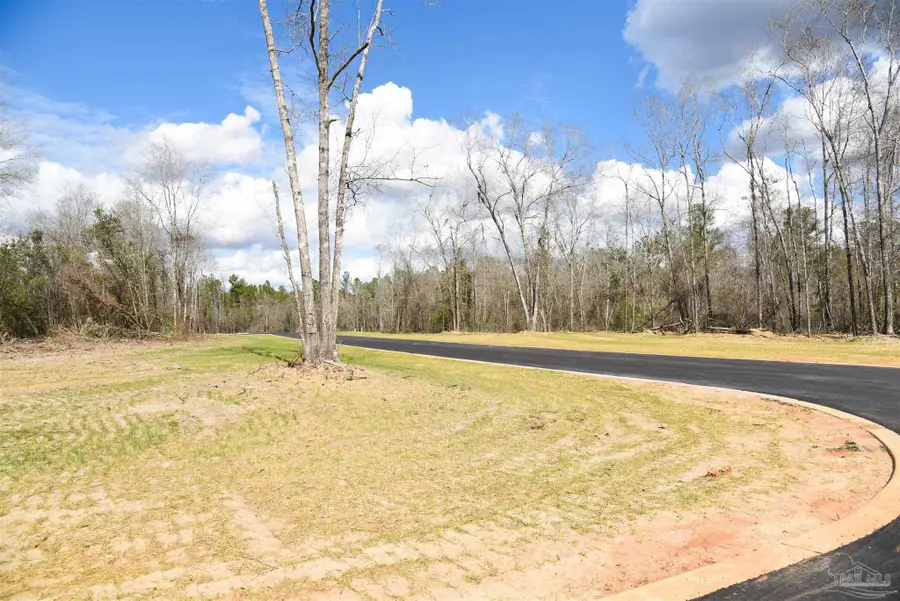Lot 19 Creek Bluff Dr, Pace, FL 32571 - #2