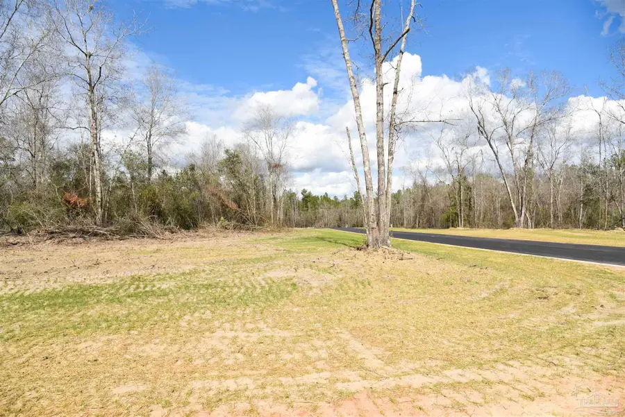 Lot 19 Creek Bluff Dr, Pace, FL 32571 - #3