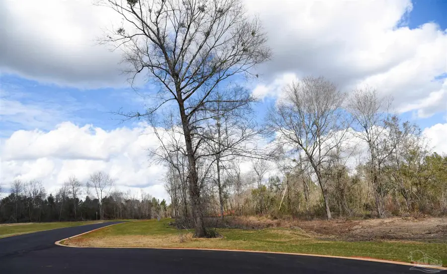 Lot 12 Brook Crossing St, Pace, FL 32571 - #3