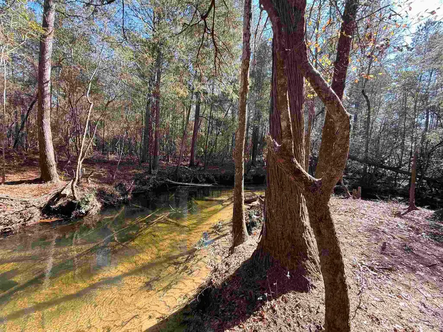 Lot 18 Brook Crossing St, Pace, FL 32571 - #2
