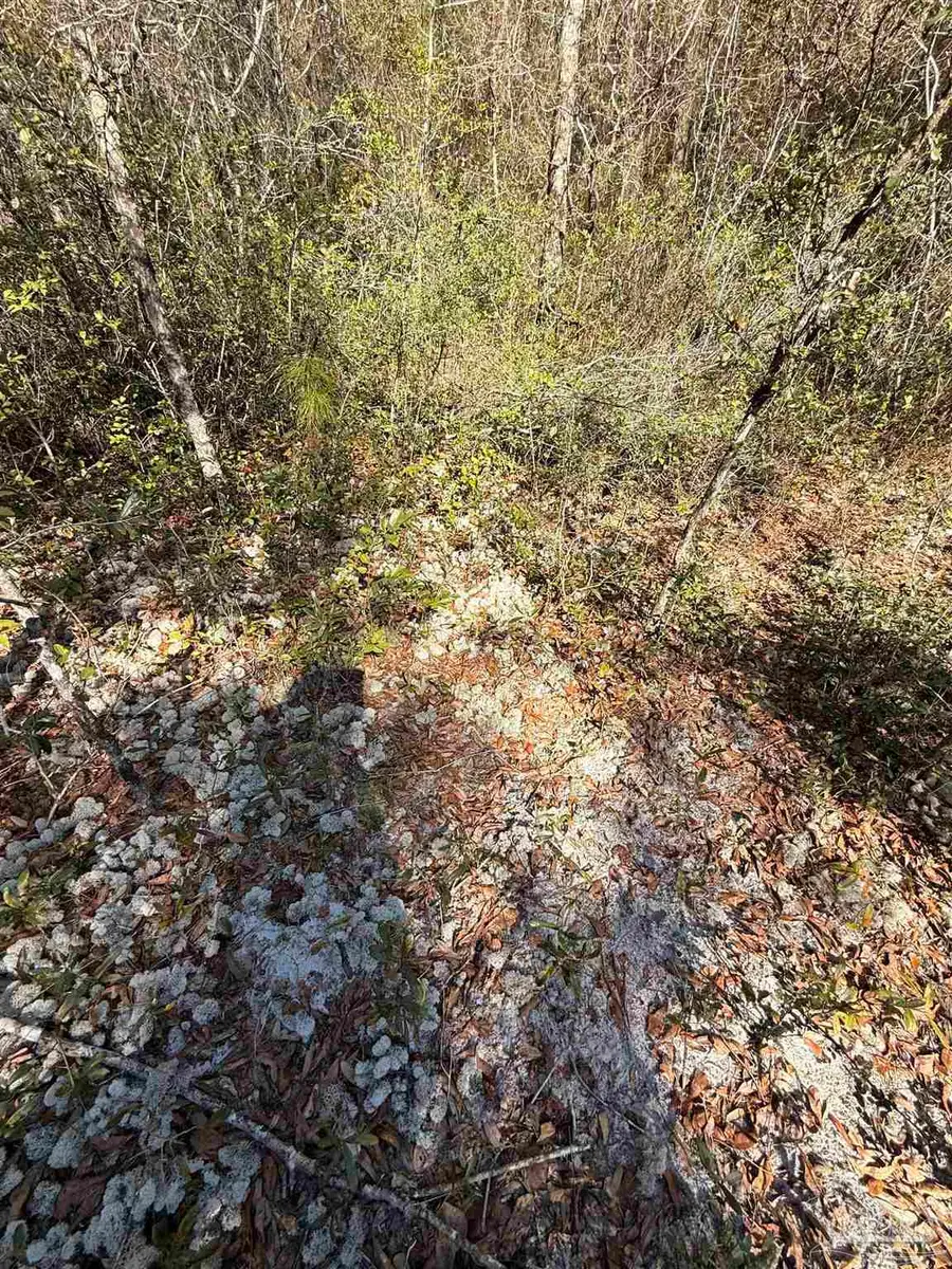 Lot 17 Brook Crossing St, Pace, FL 32571 - #2