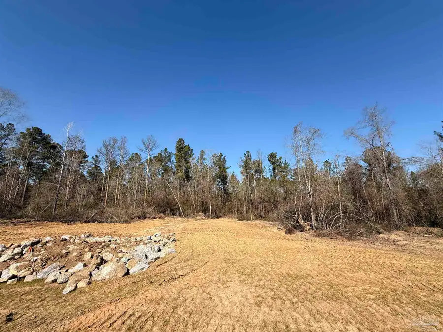 Lot 17 Brook Crossing St, Pace, FL 32571 - #3