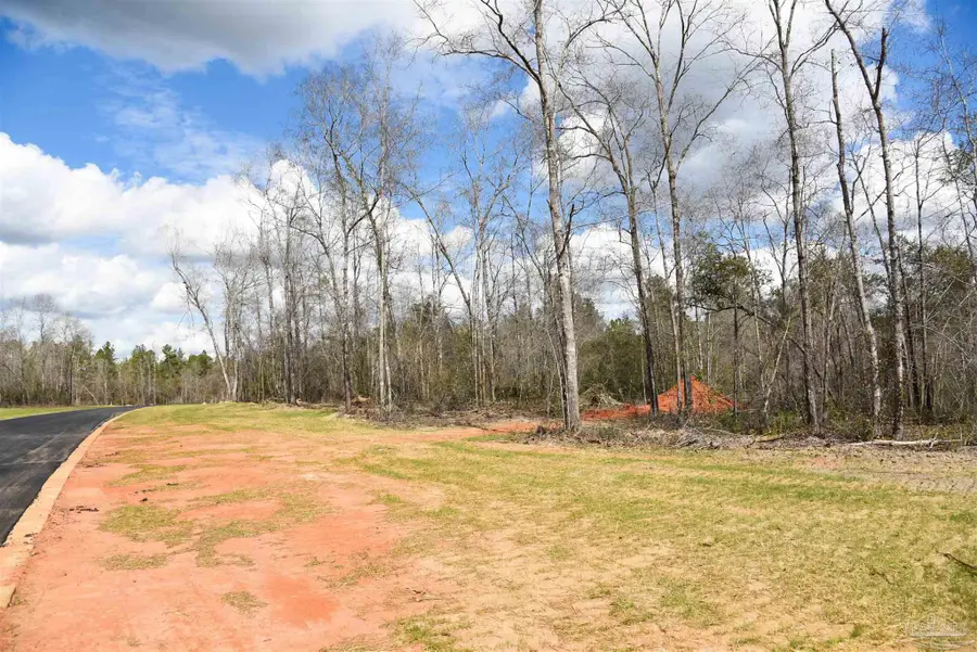 Lot 13 Brook Crossing St, Pace, FL 32571 - #2