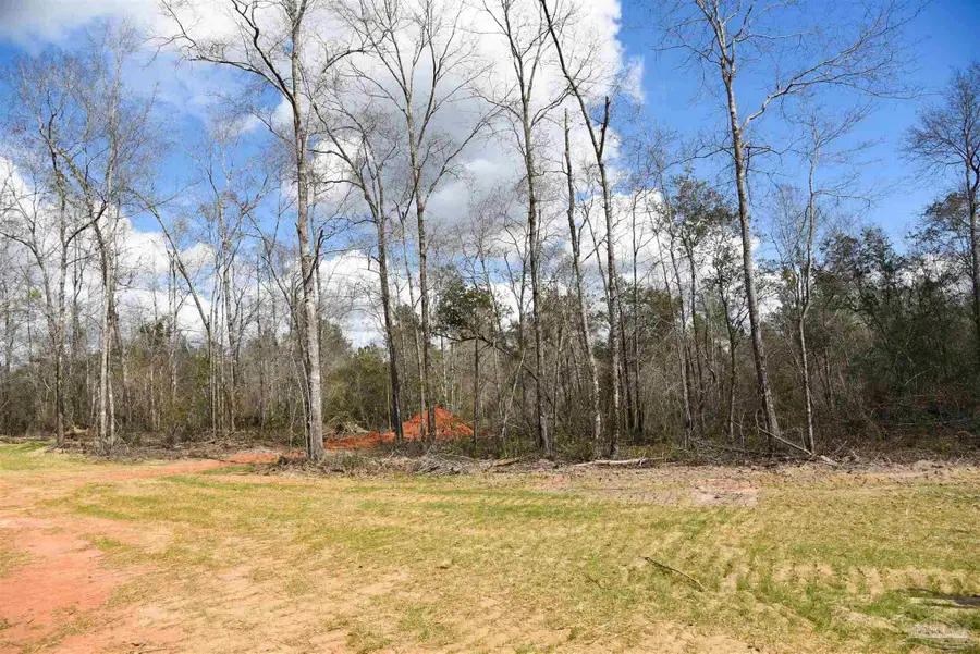 Lot 13 Brook Crossing St, Pace, FL 32571 - #3
