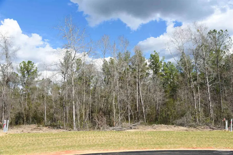 Lot 16 Brook Crossing St, Pace, FL 32571 - #2
