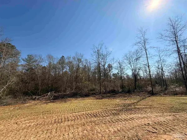 Lot 14 Brook Crossing St, Pace, FL 32571