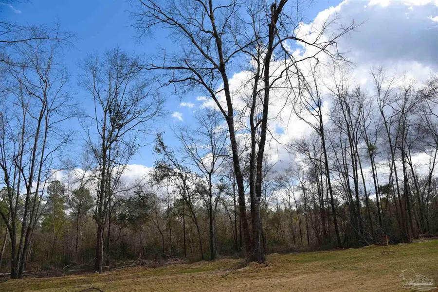 Lot 14 Brook Crossing St, Pace, FL 32571 - #2