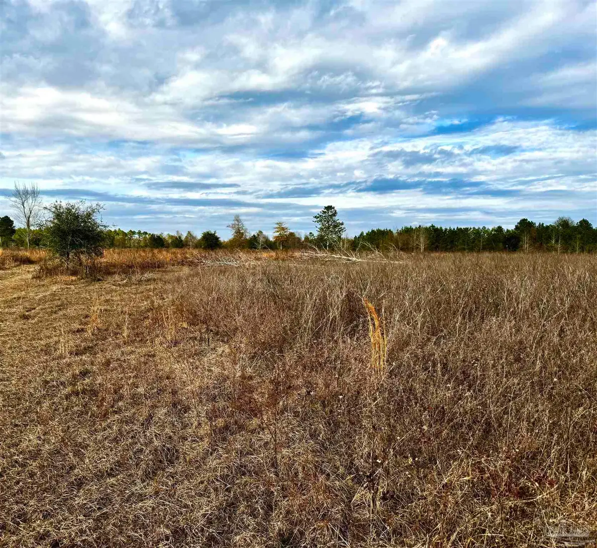 0 Hardaway Hwy, Gretna, FL 32332 - #1