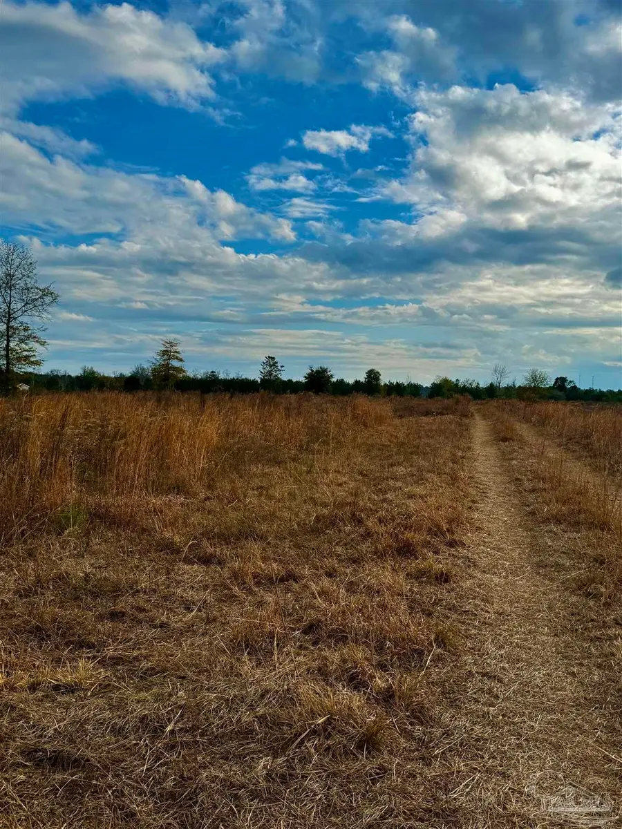 0 Hardaway Hwy, Gretna, FL 32332 - #2