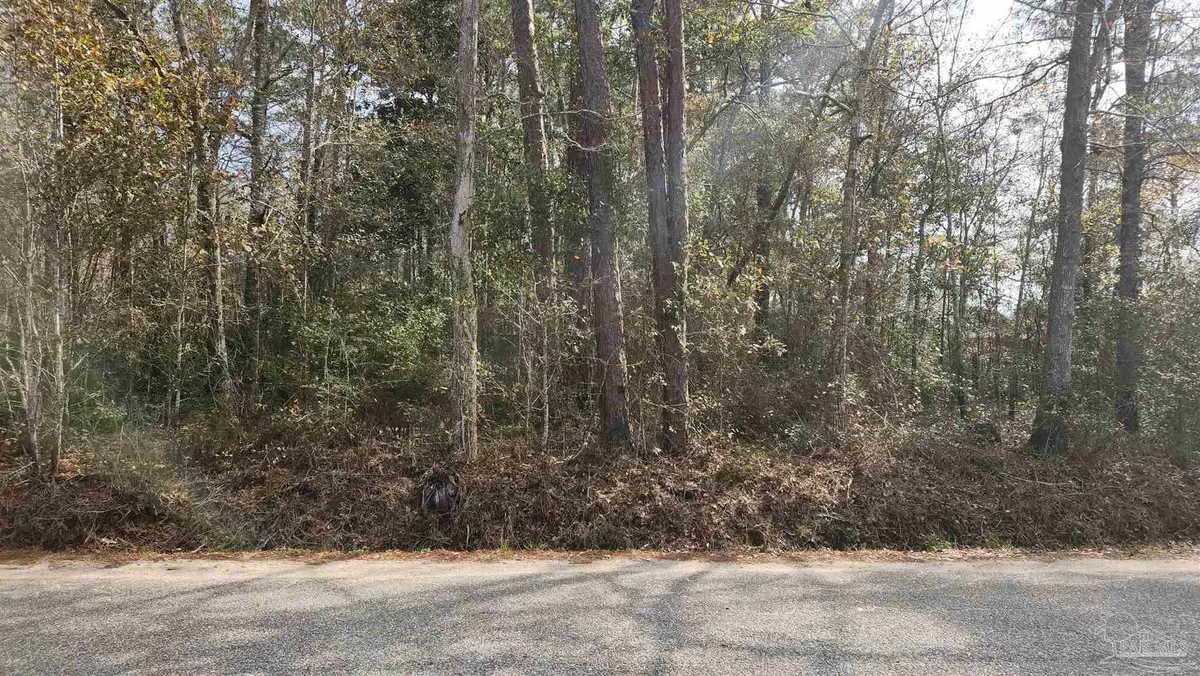 Pearson Rd, Milton, FL 32570 - #1
