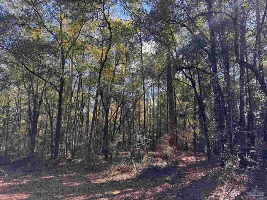 0000 Reuben's Way, Milton, FL 32570 - #2