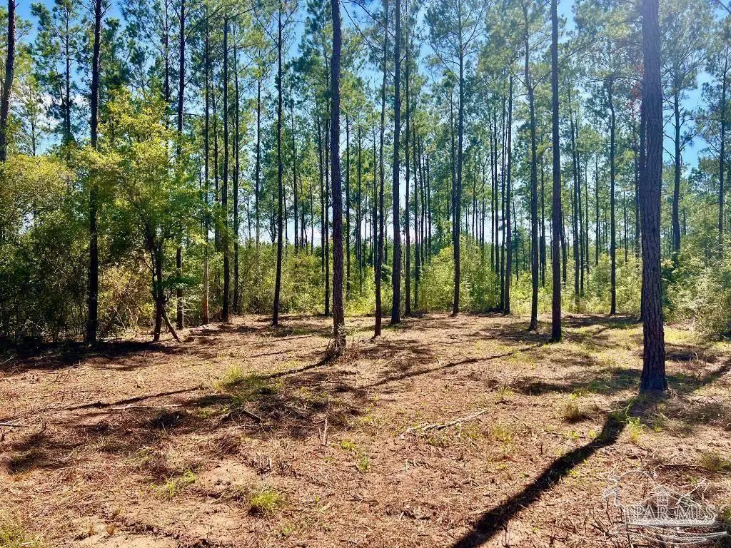 Lot 75 Naturewalk Dr, Jay, FL 32565 - #1