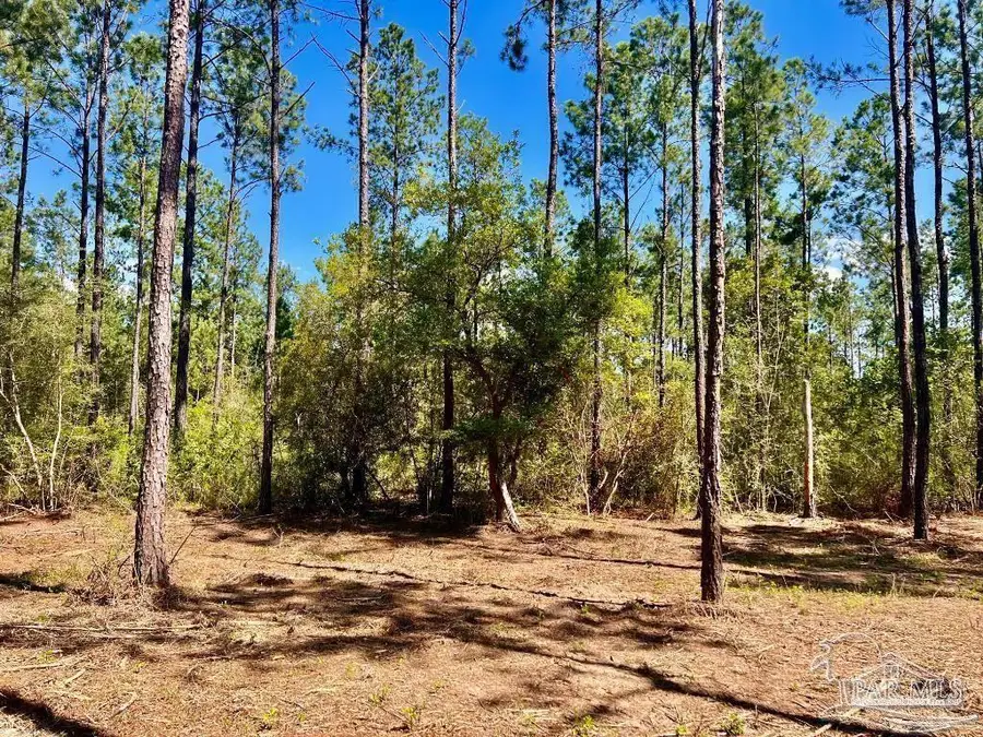 Lot 75 Naturewalk Dr, Jay, FL 32565 - #3