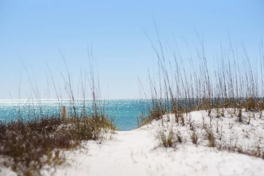 706 Via Deluna Dr, Pensacola Beach, FL 32561 - #3