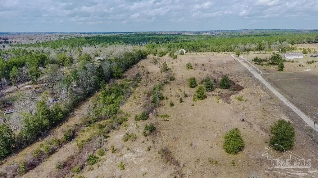 20 Acres Tanner Ridge Rd, Jay, FL 32565 - #1
