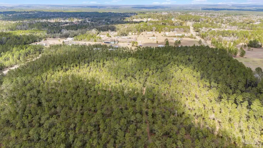 Lot #10 Bermuda Ln, Seminole, AL 36574 - #3