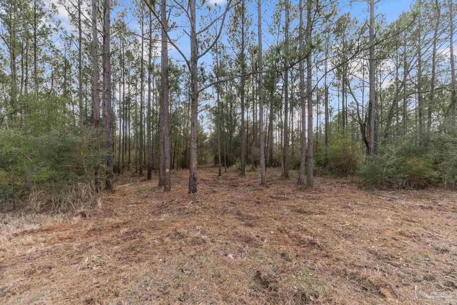 Lot #1 Bermuda Ln, Seminole, AL 36574 - #3