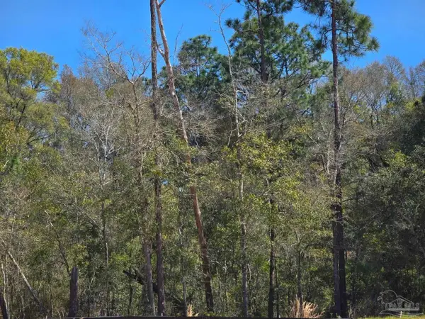 0000 School St, Bagdad, FL 32583