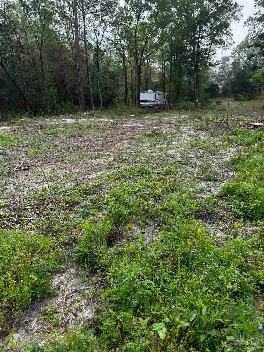 6318 Donna Dr, Molino, FL 32577 - #2