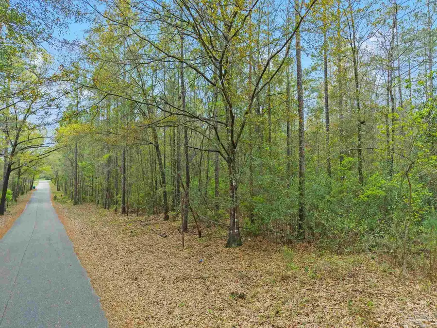 0 Tom Shivers Rd, Flomaton, AL 36441 - #2