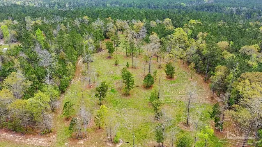 4.5 Acres Dixon Nursery Rd, Brewton, AL 36426 - #2