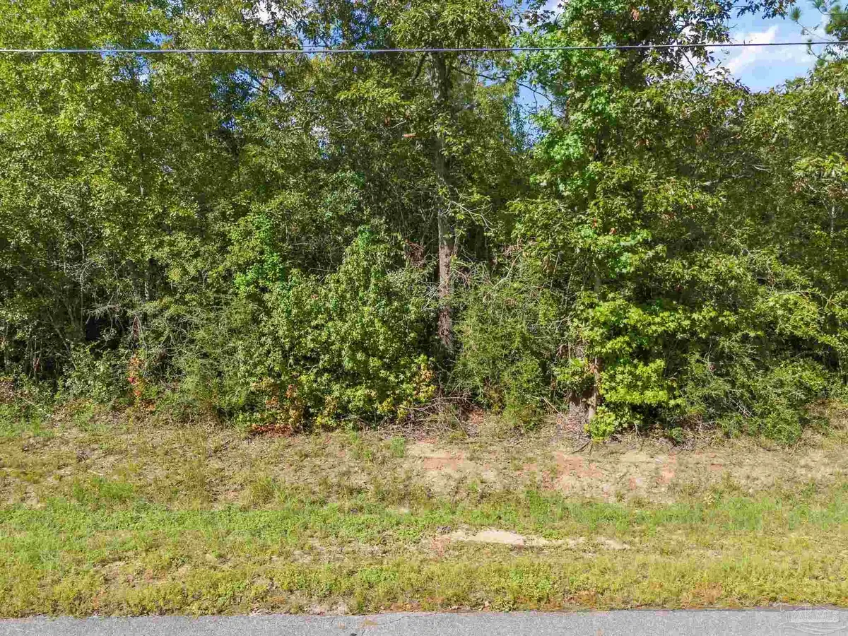 Parcel 14 Sid Hayes Rd, Jay, FL 32565 - #1