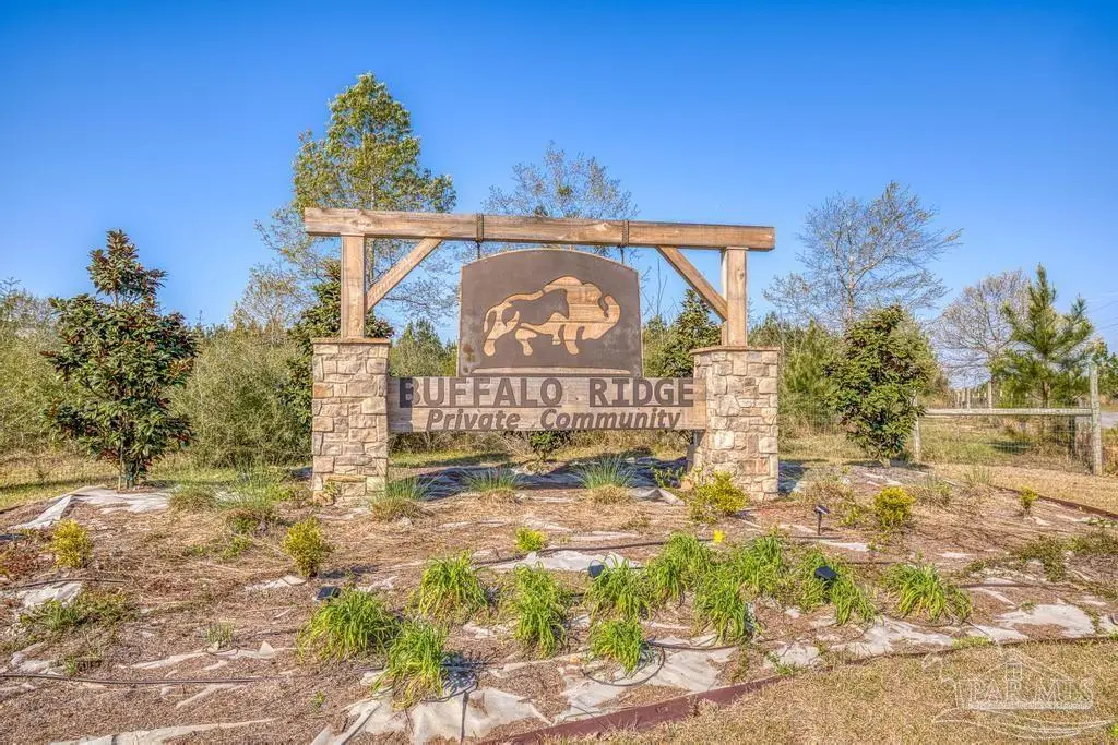 Lot 42 Buffalo Ridge Rd, Pace, FL 32571 - #1