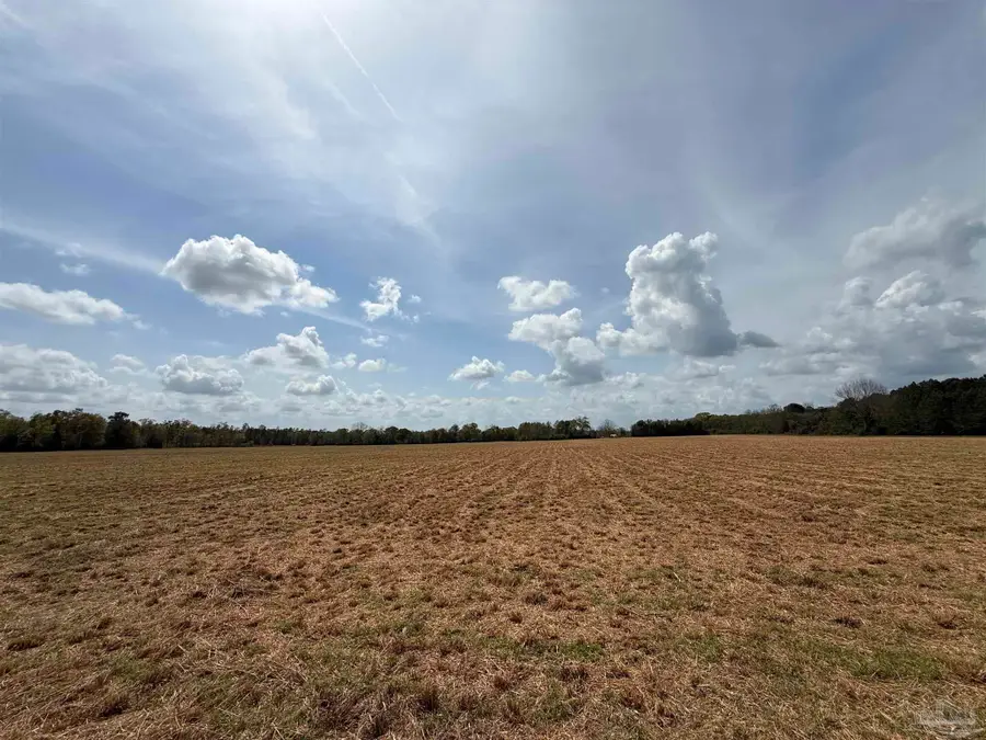 00 Green Rd, Baker, FL 32531 - #3