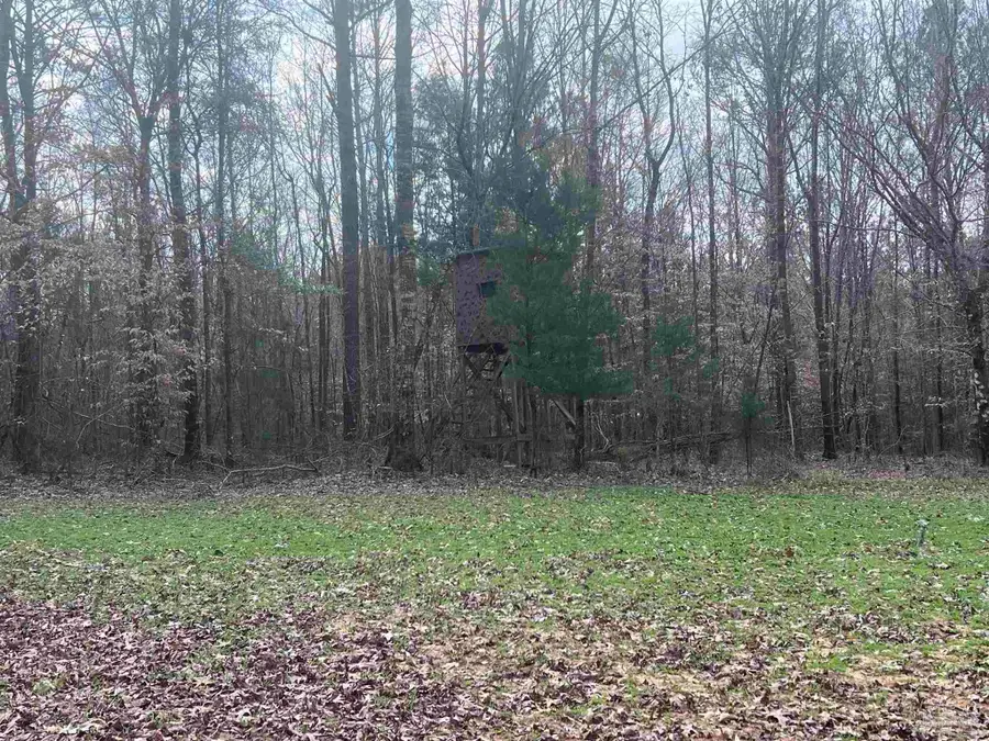 00 Mixonville Rd, McKenzie, AL 36456 - #3