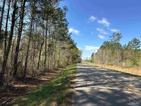 Parcel A Snider Rd, Frisco City, AL 36445