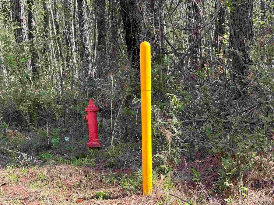 Parcel G Lett Rd, Frisco City, AL 36445 - #2