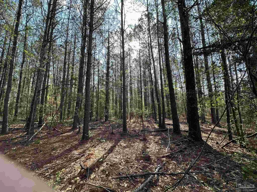 Parcel J Lett Rd, Frisco City, AL 36445 - #3