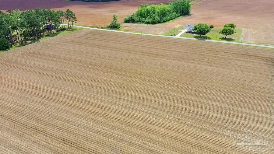 3B Mineral Springs Rd, Jay, FL 32565 - #2