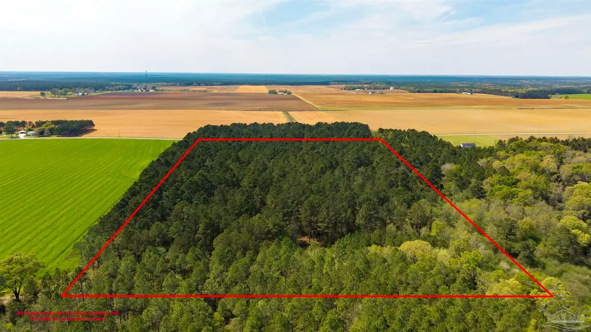 TBD Corley Rd, Walnut Hill, FL 32568 - #1