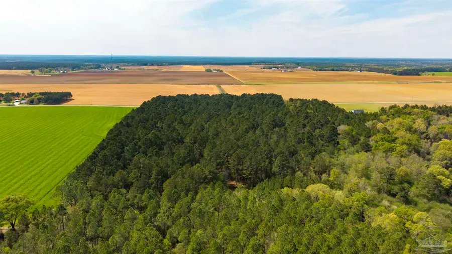 TBD Corley Rd, Walnut Hill, FL 32568 - #2