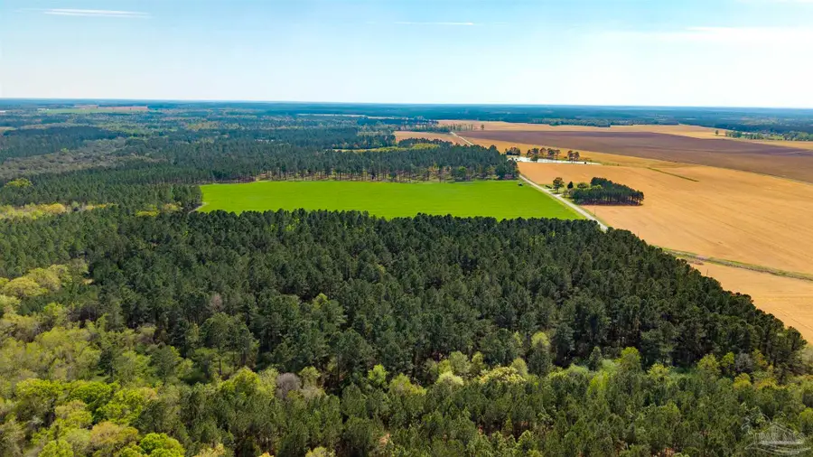 TBD Corley Rd, Walnut Hill, FL 32568 - #3