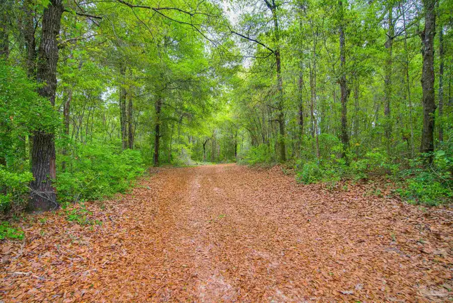 2855 Walling Rd, Milton, FL 32570 - #3