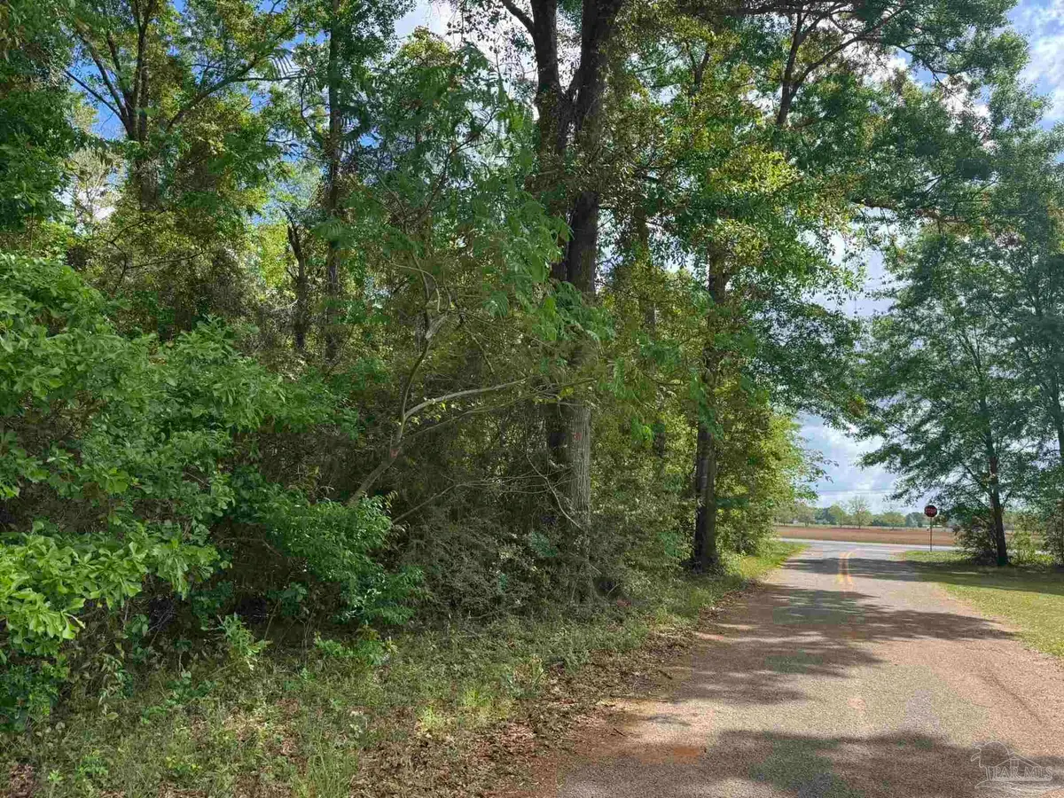 0 Hwy 87, Jay, FL 32565 - #1