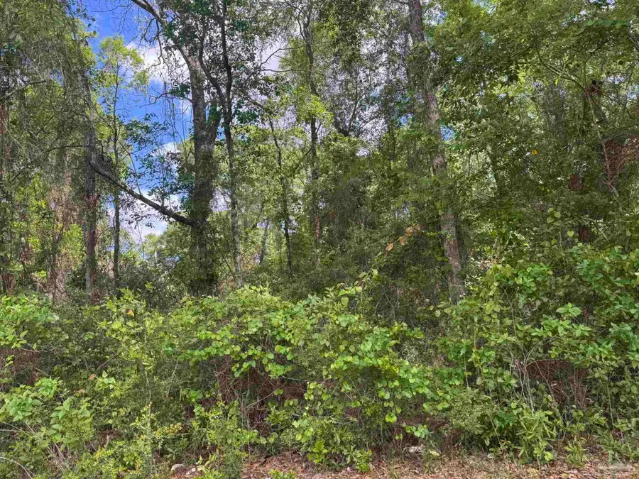 0 Hwy 87, Jay, FL 32565 - #2