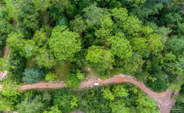 4874 Seely Rd, Molino, FL 32577