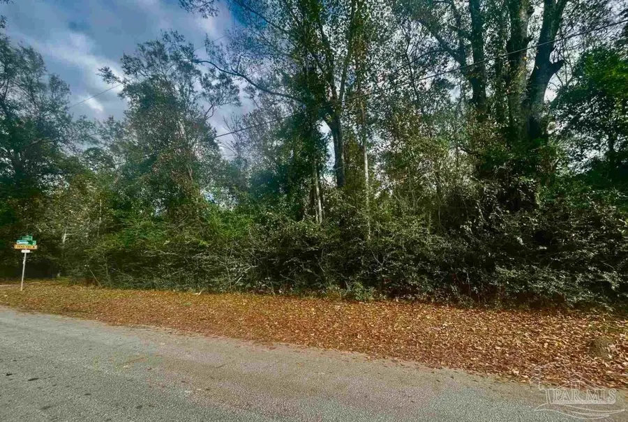 4600 NE Richardson Rd, Molino, FL 32577 - #2